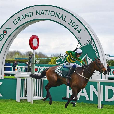 Grand National 2024 full results and which finishing places each.